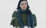 Kar ve Ayı