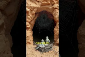 Güneşin Doğduğu Yer 1.Bölüm 3. Fragmanı