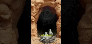 Güneşin Doğduğu Yer 1.Bölüm 3. Fragmanı